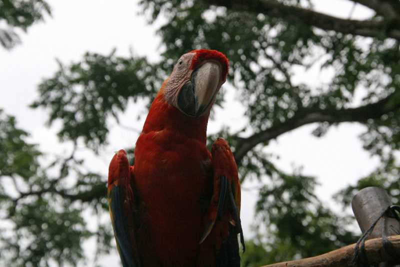 Mexico & Guatemala 2010 - 0898